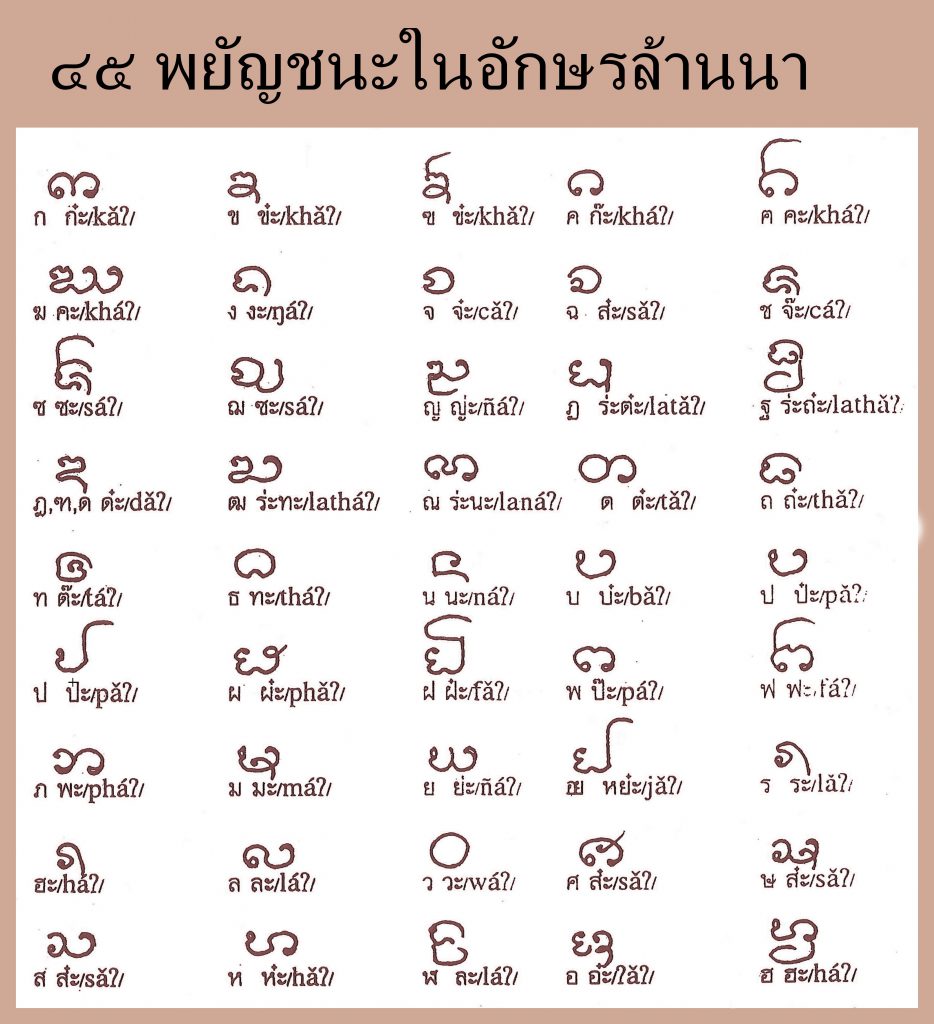 My Image 24