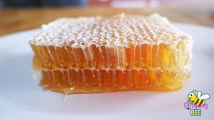 ขาย รวงผึ้งแท้ / รังผึ้งแท้ / รังผึ้งสด 100% ( Fresh Honeycomb ) เกรดพรีเมี่ยม ทั้งปลีกและส่ง ขนาด 250 กรัม ส่งฟรีทั่วประเทศ